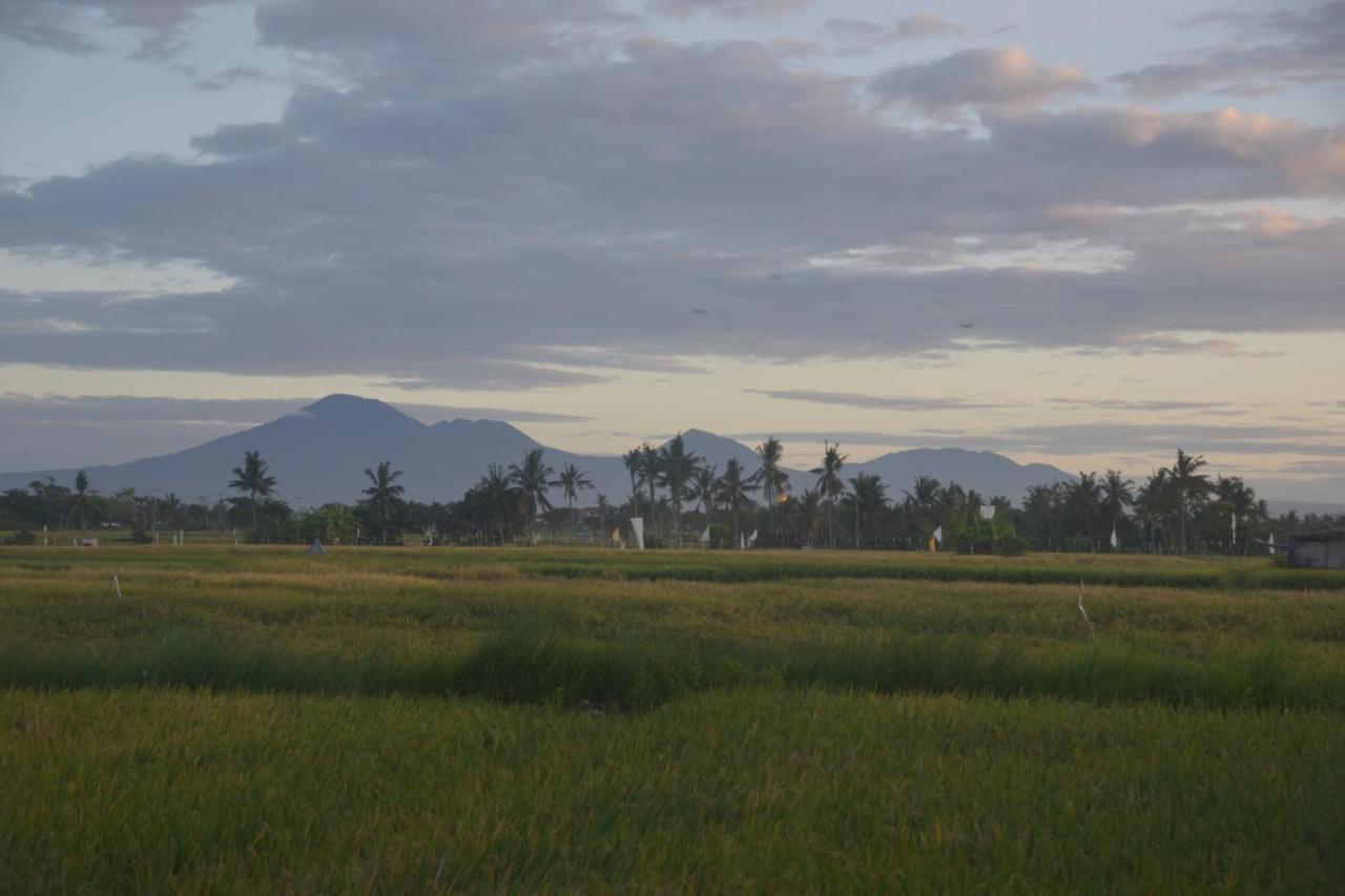 Bali Harmony Retreat Aparthotel ชังกู ภายนอก รูปภาพ